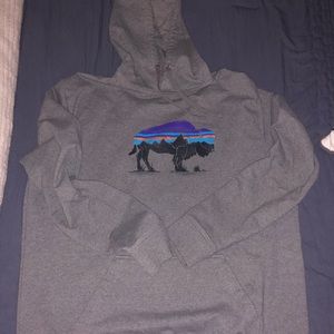 XL Patagonia Hooded Sweatshirt